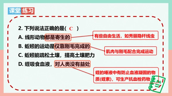 5.1.2线形动物和环节动物课件-人教版生物八年级上册(共47张PPT)