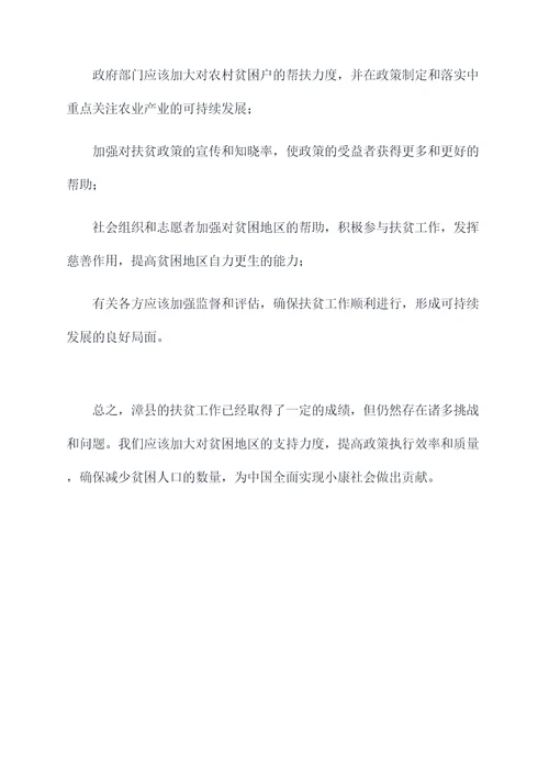 漳县扶贫调研报告