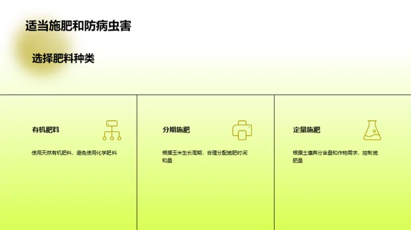 玉米种植手册