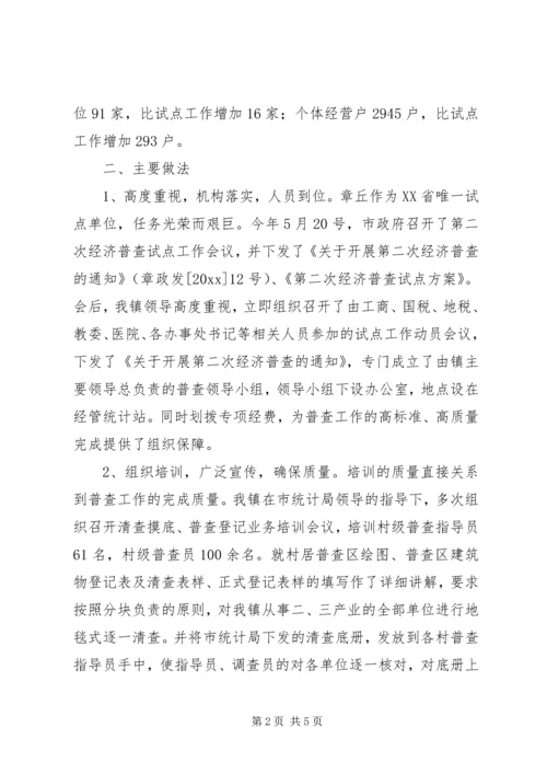 乡镇第二次经济普查总结.docx