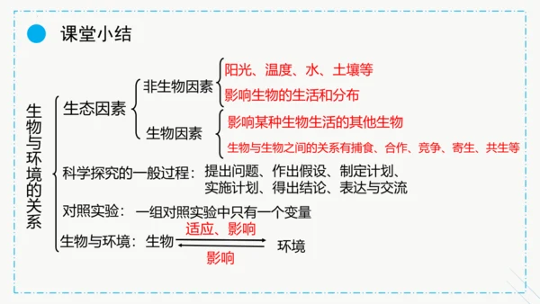 1.2.1生物与环境的关系课件2023--2024学年人教版生物七年级上册(共30张PPT)