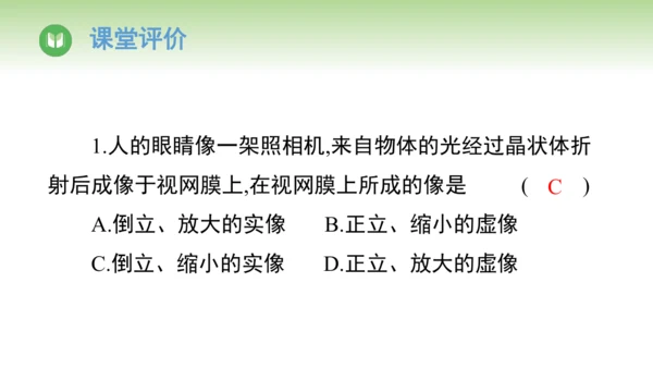 2024-2025学年人教版物理八年级上册5.4 眼睛和眼镜课件（24页ppt）