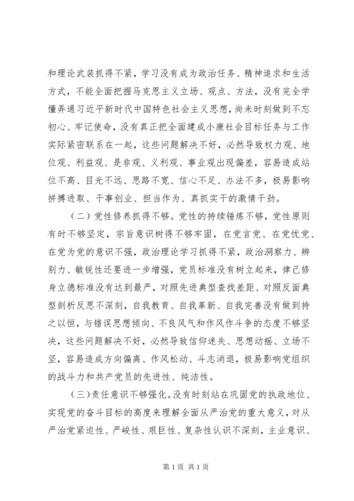 专题民主生活会班子对照检查材料.docx