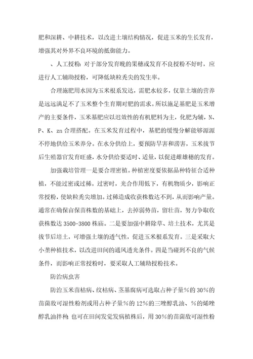 玉米秃尖缺粒发生原因及防治玉米秃尖产生的原因及预防方法