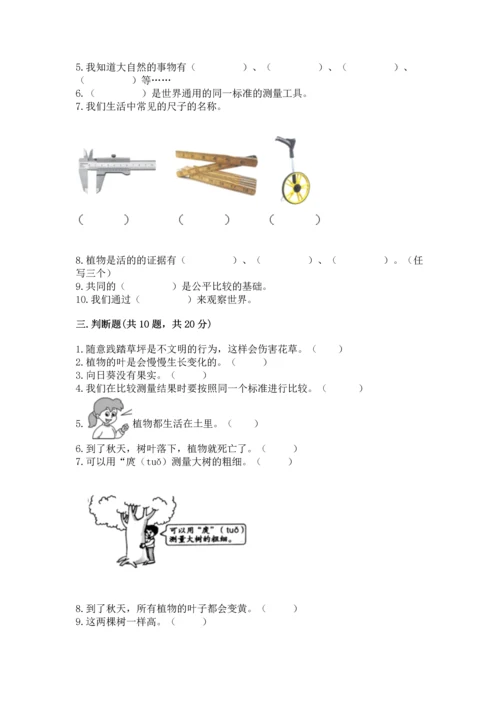 教科版科学一年级上册期末测试卷【考点提分】.docx