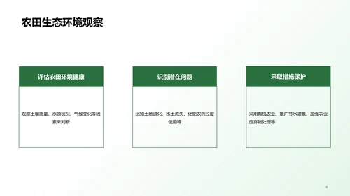 绿色插画农田观察与体验研究报告PPT模板
