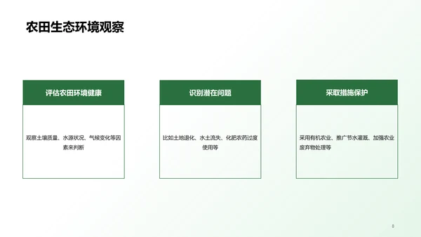 绿色插画农田观察与体验研究报告PPT模板