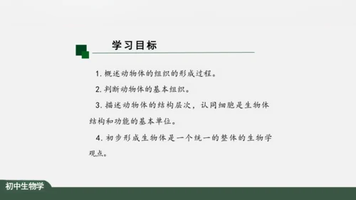 2.2.2 动物体的结构层次 课件（共24张PPT）