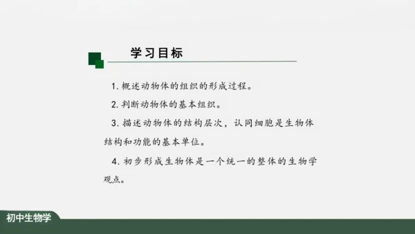 2.2.2 动物体的结构层次 课件（共24张PPT）