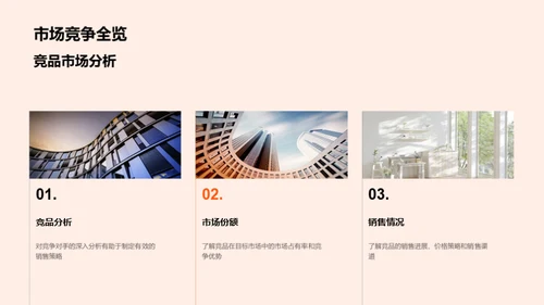 项目投资策略解析