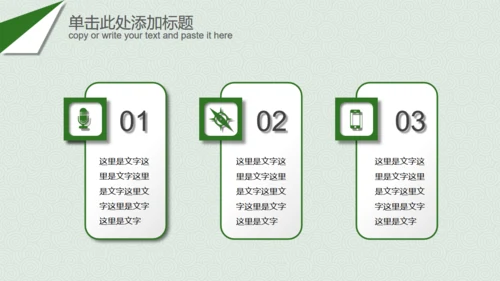 粽子端午节晚会庆典策划案通用PPT模板
