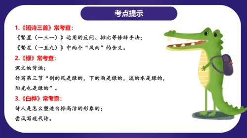 统编版四年级语文下学期期中核心考点集训第三单元（复习课件）