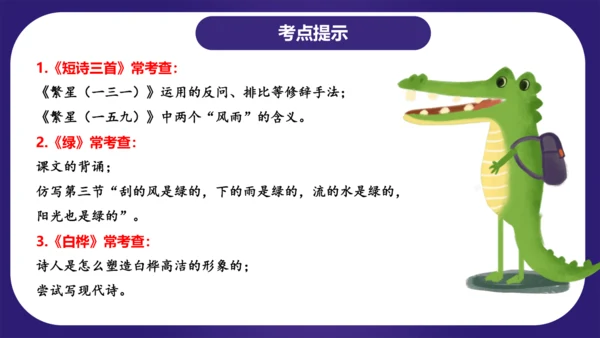 统编版四年级语文下学期期中核心考点集训第三单元（复习课件）