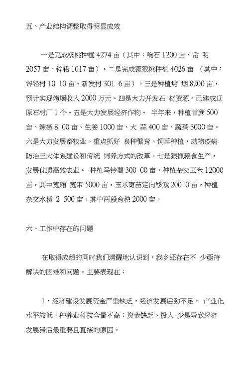 乡政府XX年半年工作总结及下半年工作打算