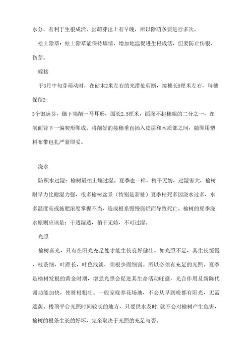 榆树的养殖方法