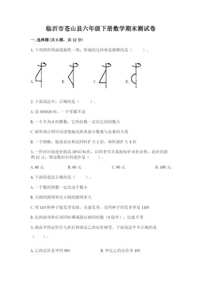 临沂市苍山县六年级下册数学期末测试卷精品含答案.docx