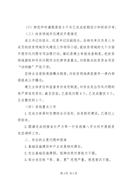 乡镇政府关于某年上半年脱贫攻坚工作总结及下半年工作计划情况的报告.docx