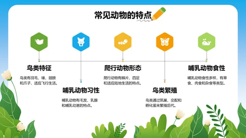 蓝色卡通风小学自然科学知识探索PPT模板