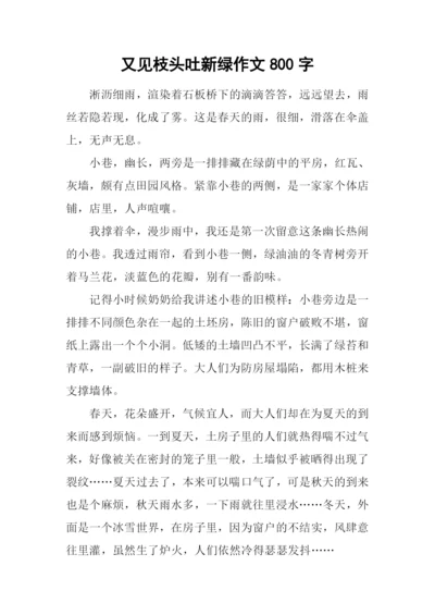 又见枝头吐新绿作文800字.docx