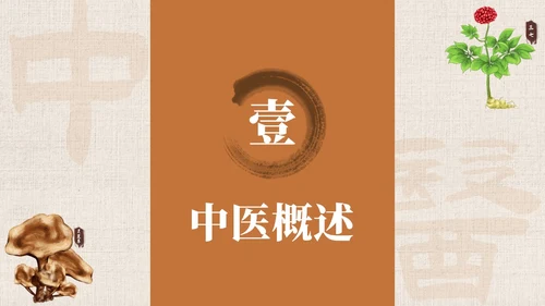 黄色系简约中国风中医药培训PPT模板