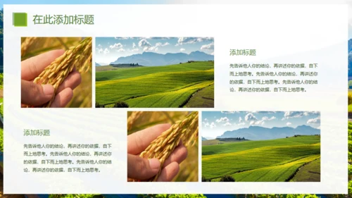 乡村振兴精准扶贫，特色农业项目计划书通用PPT模板