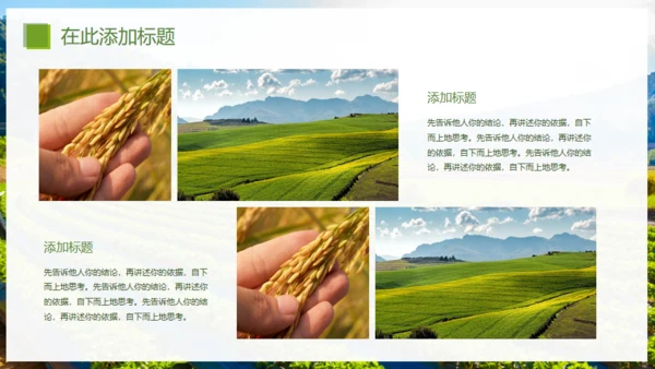 乡村振兴精准扶贫，特色农业项目计划书通用PPT模板