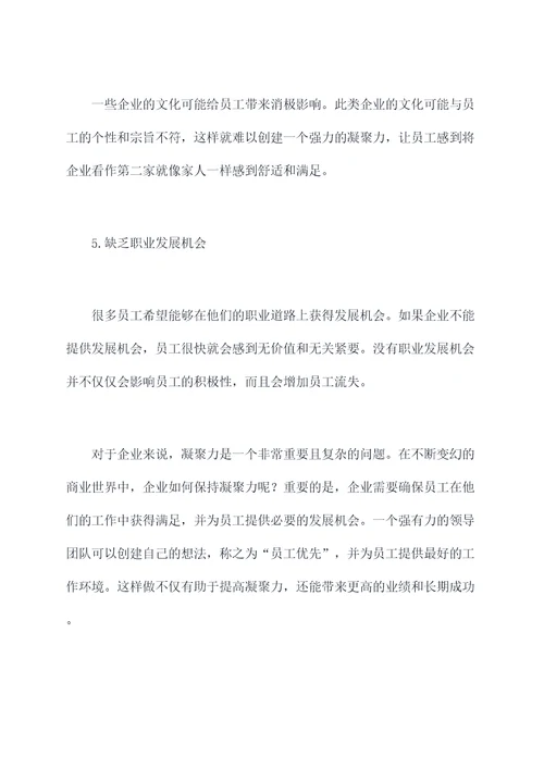 公司凝聚力差的原因剖析