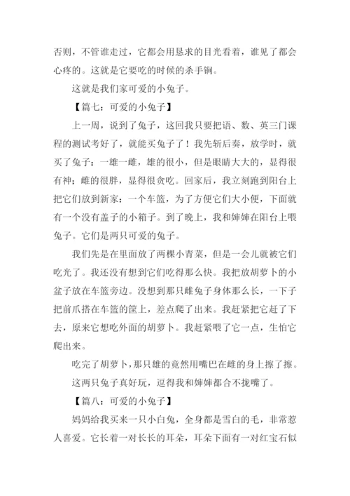 可爱的小兔子作文350字.docx