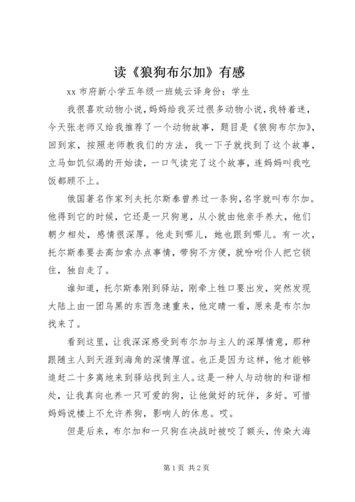 读《狼狗布尔加》有感.docx