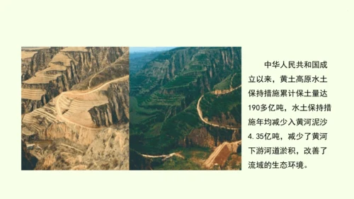6.3 世界最大的黄土堆积区——黄土高原 第2课时 严重的水土流失 水土保持（课件29张）- 人教版