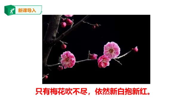 八年级下册第六单元课外古诗词诵读 卜算子.咏梅 课件(共23张PPT)