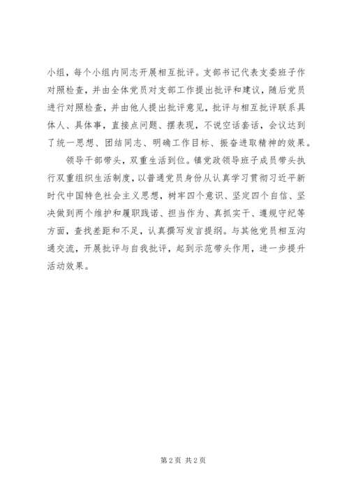 乡镇机关党支部组织生活会开展情况汇报.docx