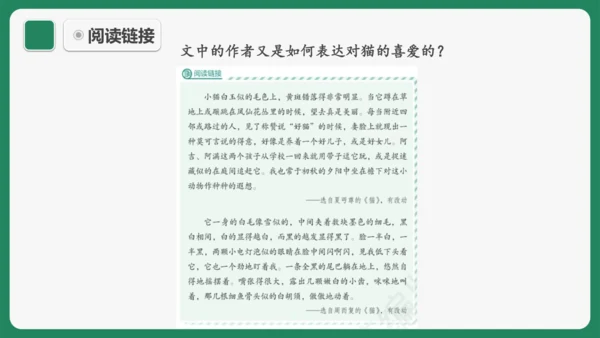 《猫》课件