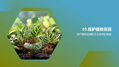 植物之语：生命与生态