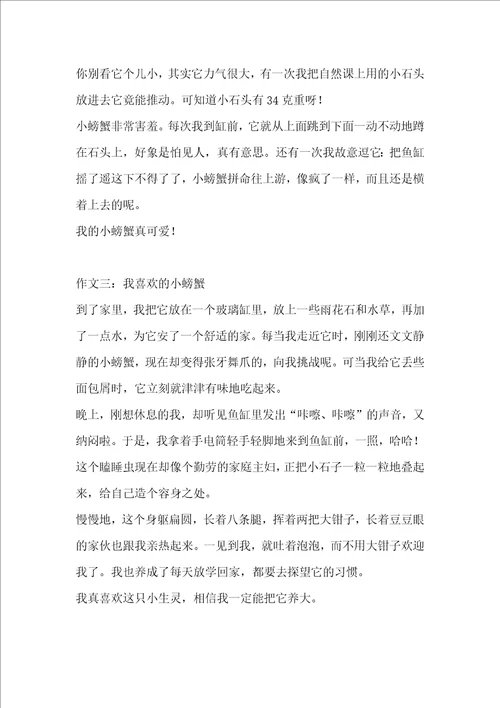 写螃蟹的作文
