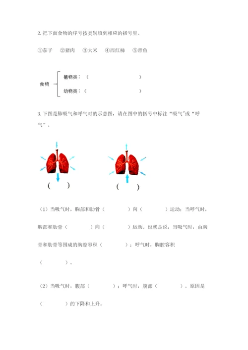 教科版四年级上册科学期末测试卷（培优b卷）.docx