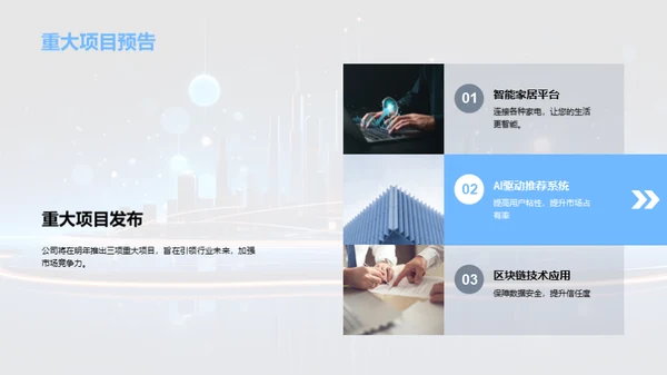 20XX业绩回顾与展望
