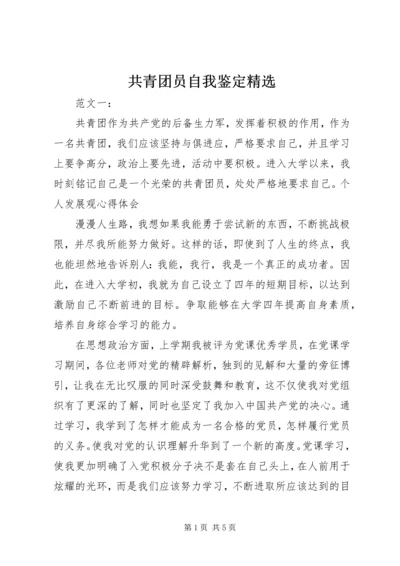 共青团员自我鉴定精选.docx