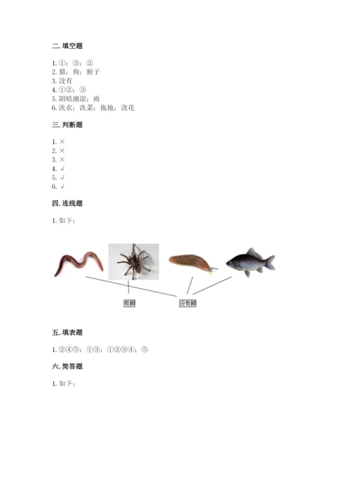 教科版小学科学一年级下册期末测试卷精品（历年真题）.docx
