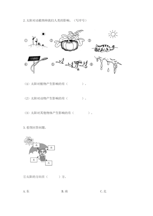 教科版科学二年级上册《期末测试卷》含答案【实用】.docx