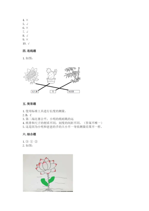 教科版一年级上册科学期末测试卷【各地真题】.docx