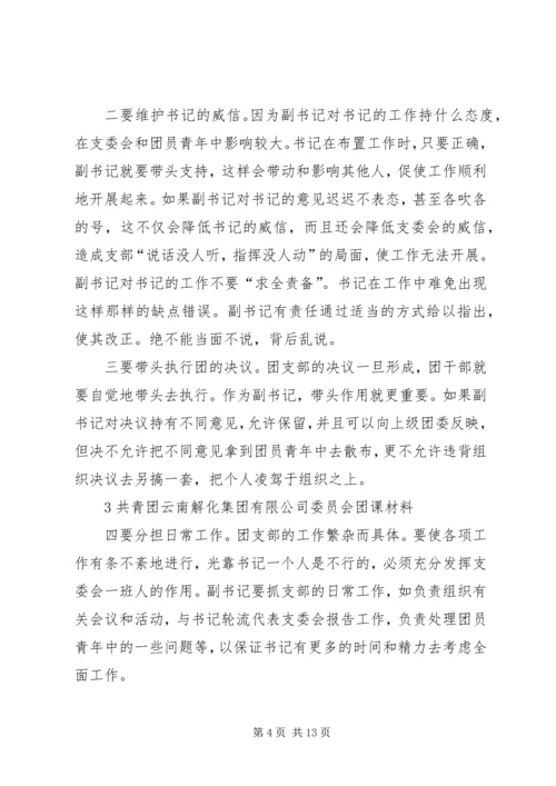 关于共青团中学支部委员会书记职务任命的请示.docx