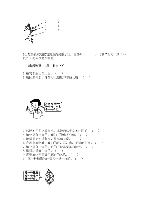 2022教科版一年级上册科学 期末测试卷附参考答案（满分必刷）