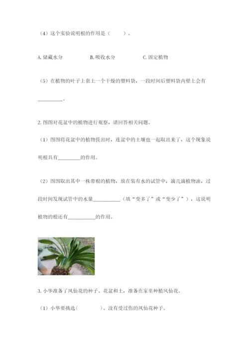 教科版四年级下册科学第一单元《植物的生长变化》测试卷【轻巧夺冠】.docx