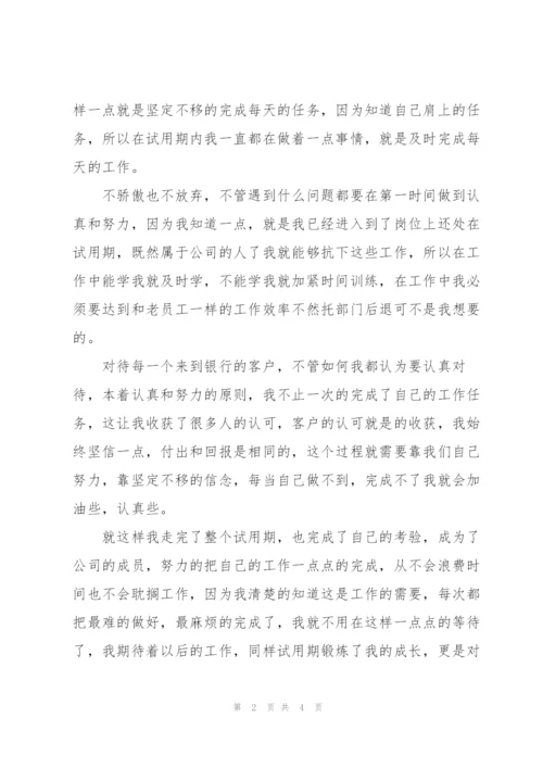 银行职员个人试用期工作总结800字.docx