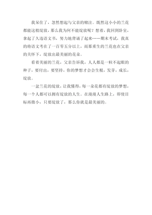 兰花绽放的启示作文700字.docx