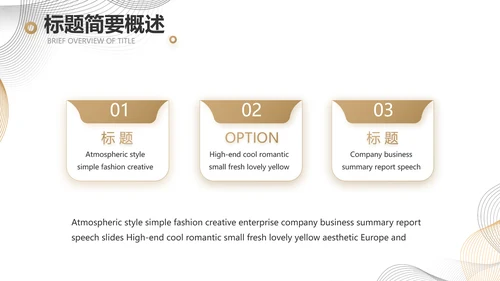 简约大气公司产品介绍宣传通用PPT