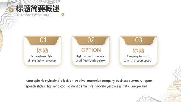 简约大气公司产品介绍宣传通用PPT