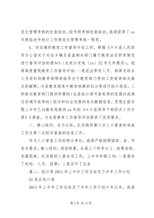 统计局上半年工作总结下半年工作安排.docx