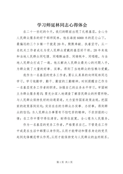 学习师延林同志心得体会.docx